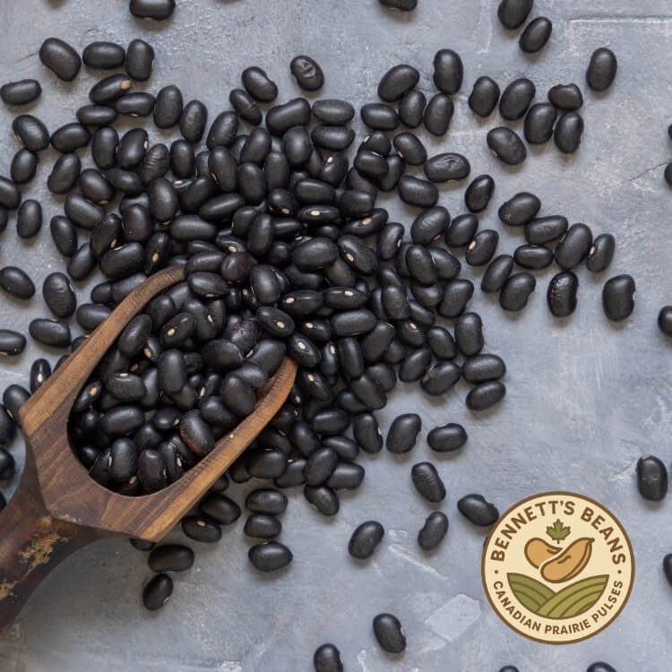 Nutritional Benefits of Canadian Black Beans