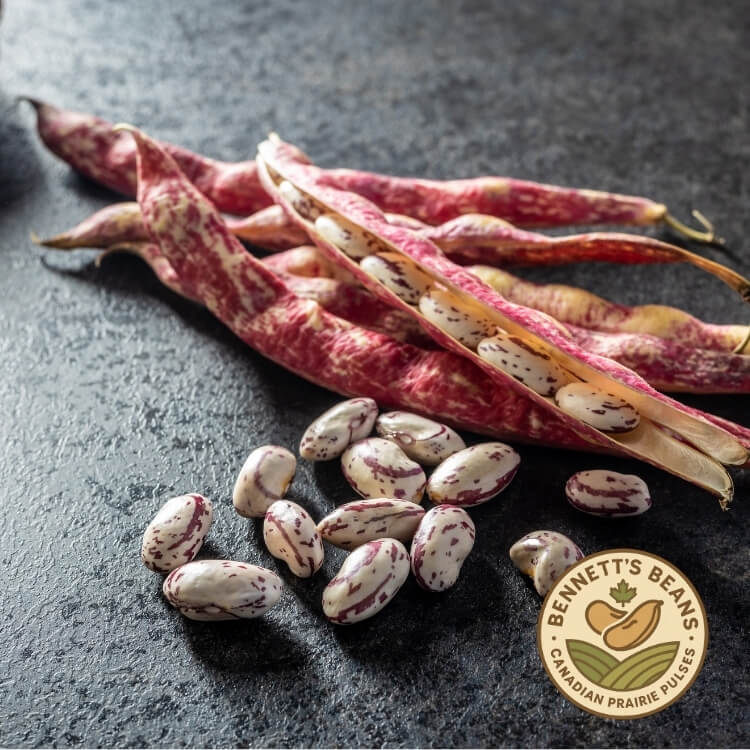 Culinary & Industrial Uses of Cranberry Beans