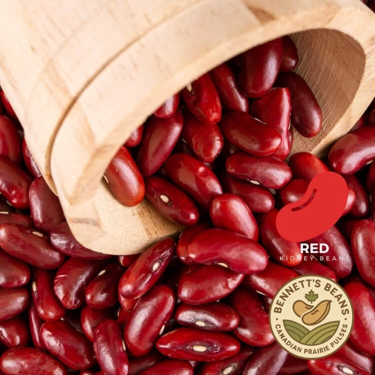 Canadian Dark Red Kidney Beans – Bulk Supplier & Exporter