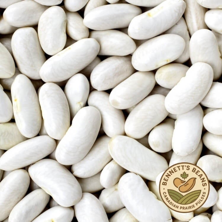 Global Supply of Canadian Great Northern (Large White) Beans – FOB / CIF