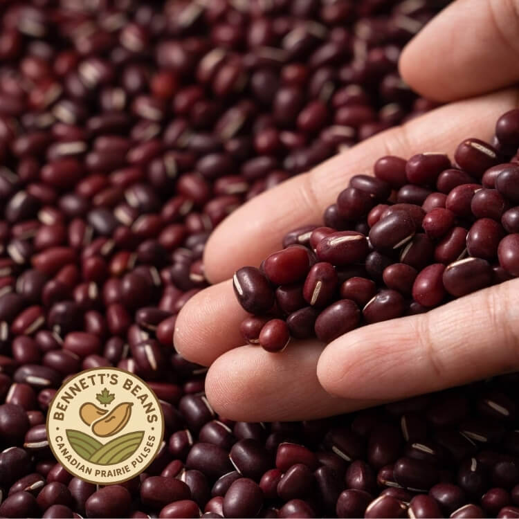 Culinary Uses of Canadian Adzuki Beans
