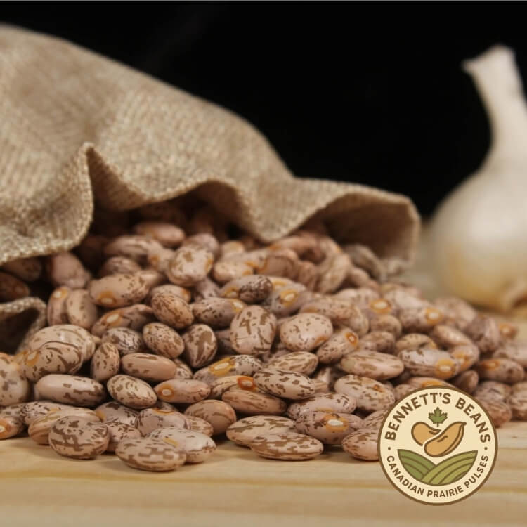 Bennett’s Beans – Your Global Source for Canadian Pinto Beans