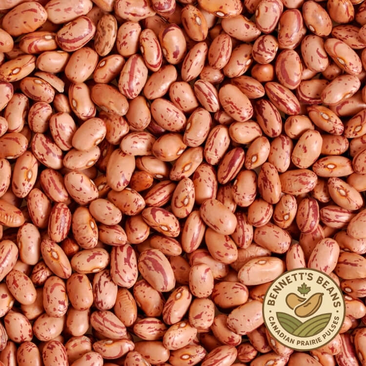 Prairie-Grown Pinto Beans – Saskatchewan, Alberta, Manitoba & Ontario