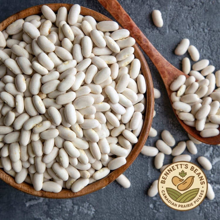 Canadian Great Northern (White) Beans – Bulk Supplier & Exporter