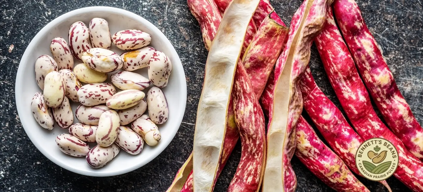 Canadian cranberry beans for wholesale, bulk export, and food manufacturing programs