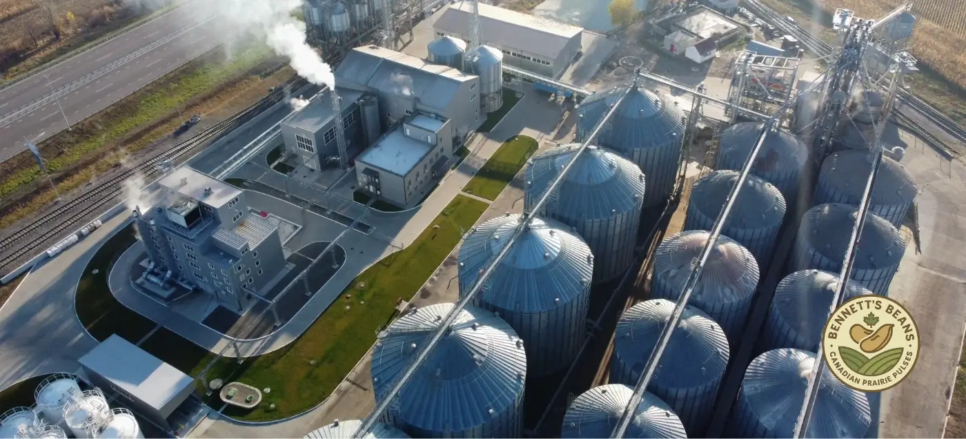 "Prepared bean meal illustrating ready meal and prepared food applications"