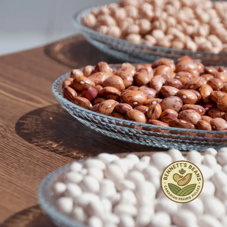 Bean application context for quotation and commercial supply planning