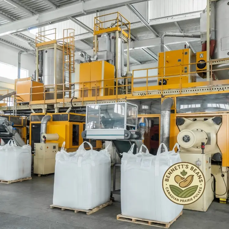 Canadian beans for canning programs and finished-pack food applications