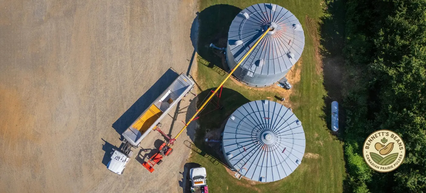 Canadian dry beans for canning, ready meals, and food manufacturing programs