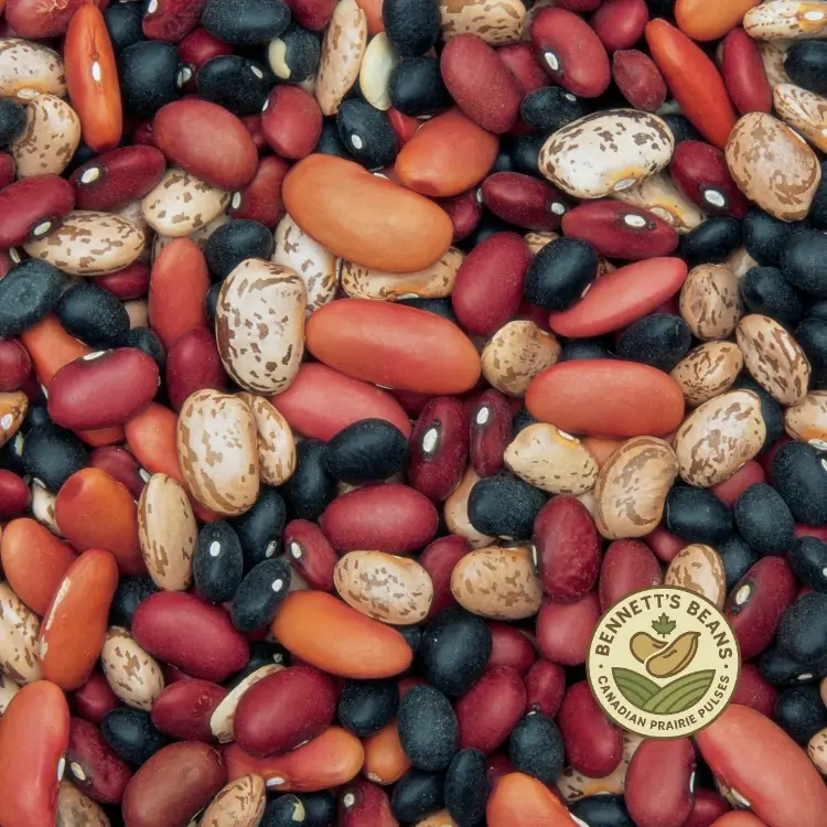 Dry bean quality factors beyond moisture for export specification review