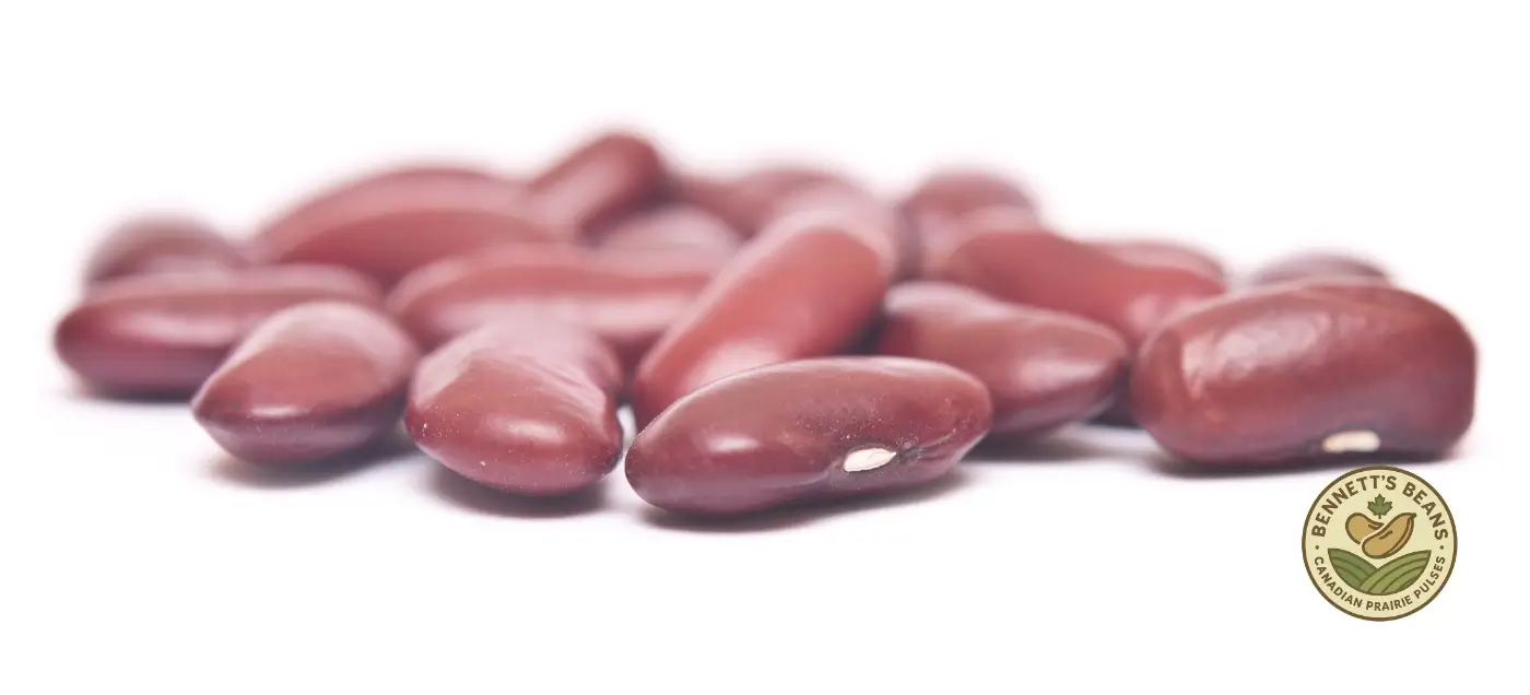 Canadian light red kidney beans for bulk export, wholesale, and food manufacturing programs