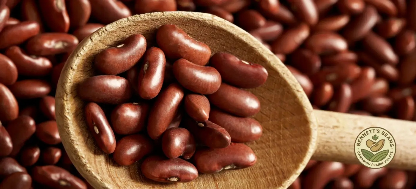 Canadian light red kidney beans for importers, distributors, and food manufacturers