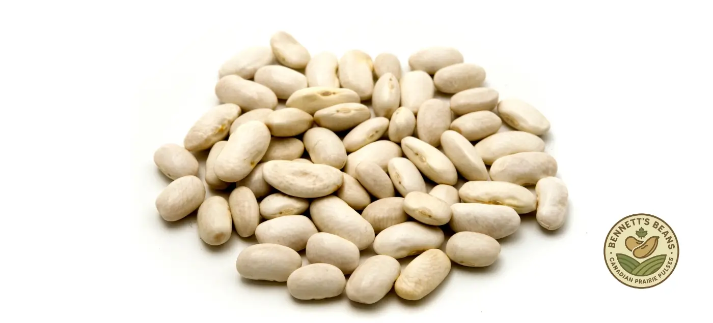 Dry beans supplier and exporter in canada