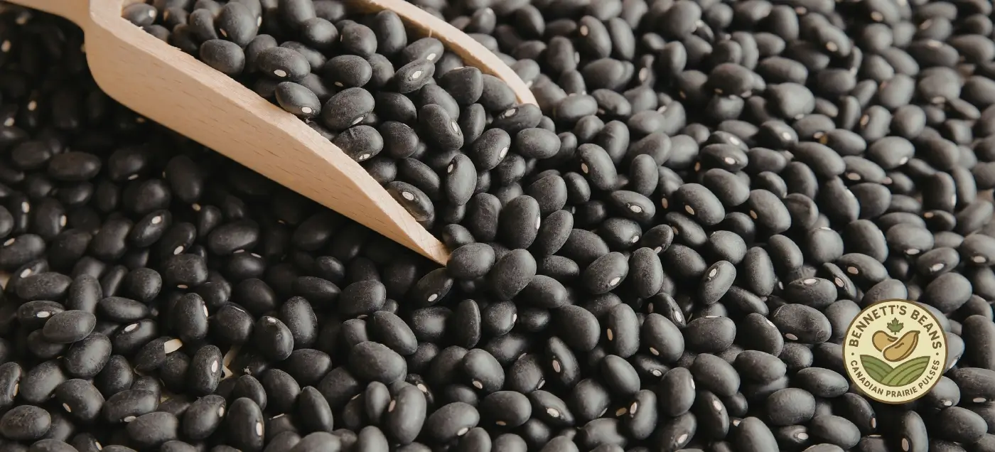 Canadian Black beans Bennetts beans