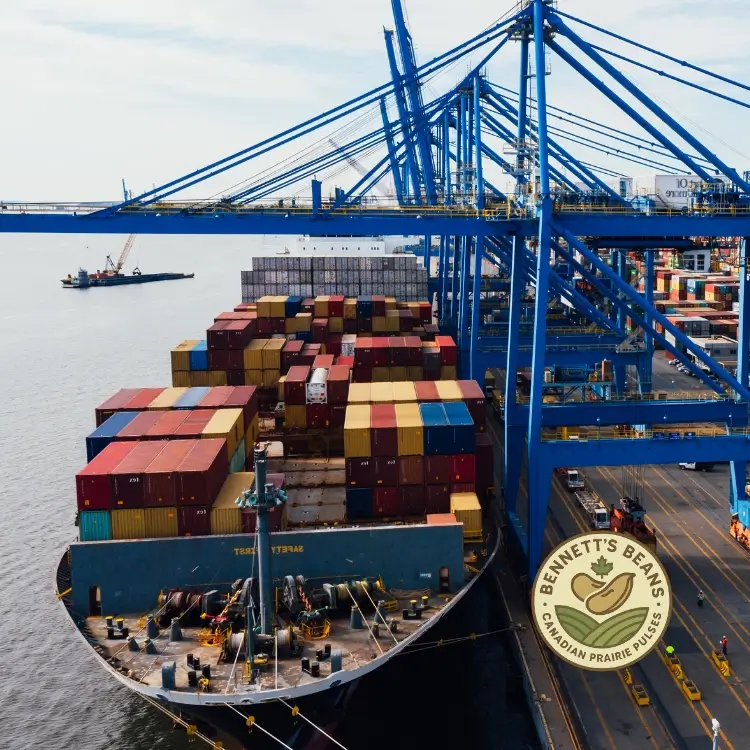 What Buyers Should Send Us Early